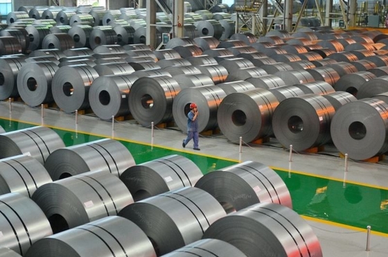 El hierro negro 0,12 carbonos Dx51 Z275 del ms Steel Coil Low galvanizó